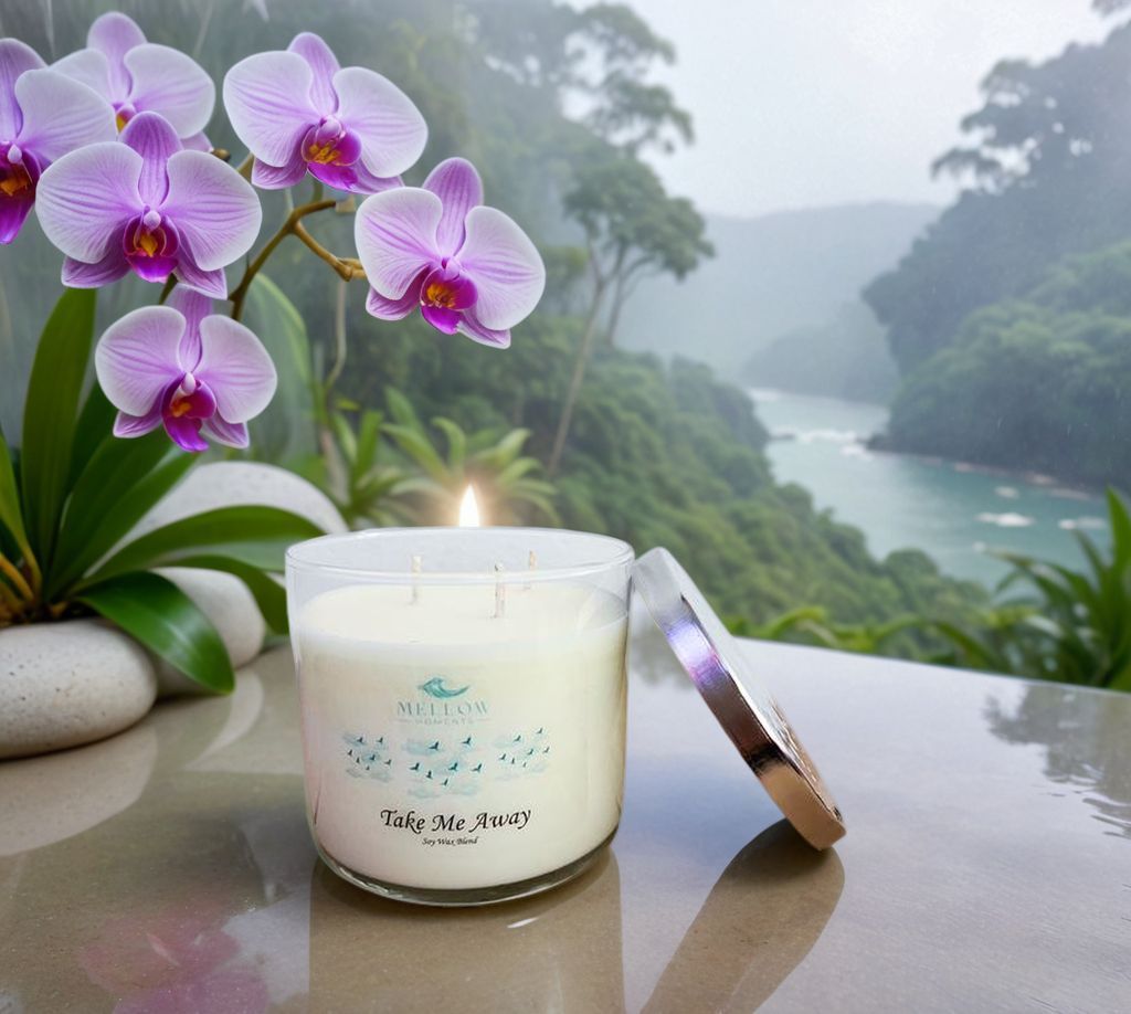 Take Me Away Candle - 3 Wick